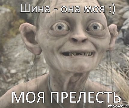 МОЯ ПРЕЛЕСТЬ Шина - она моя :)