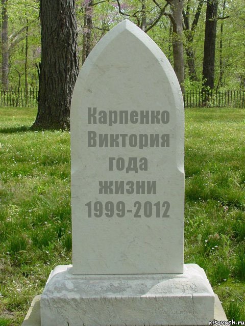 Карпенко Виктория года жизни 1999-2012, Комикс  Надгробие