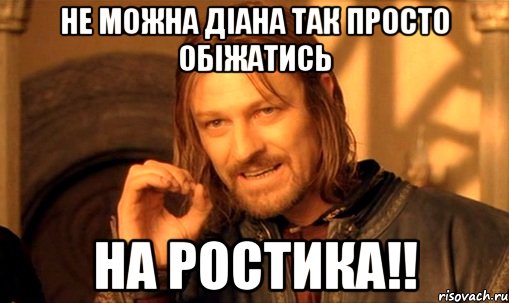 не можна діана так просто обіжатись на ростика!!, Мем Нельзя просто так взять и (Боромир мем)