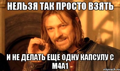 нельзя так просто взять и не делать еще одну капсулу с м4а1, Мем Нельзя просто так взять и (Боромир мем)