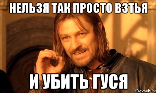 нельзя так просто взтья и убить гуся, Мем Нельзя просто так взять и (Боромир мем)