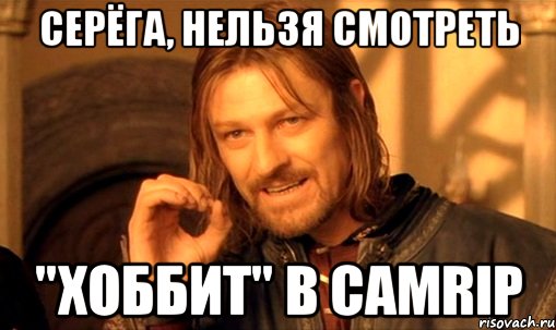 серёга, нельзя смотреть "хоббит" в сamrip, Мем Нельзя просто так взять и (Боромир мем)