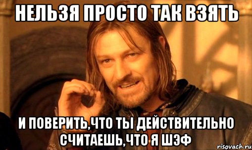 нельзя просто так взять и поверить,что ты действительно считаешь,что я шэф, Мем Нельзя просто так взять и (Боромир мем)