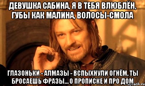 девушка сабина, я в тебя влюблён, губы как малина, волосы-смола глазоньки - алмазы - вспыхнули огнём, ты бросаешь фразы… о прописке и про дом, Мем Нельзя просто так взять и (Боромир мем)