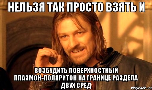 нельзя так просто взять и возбудить поверхностный плазмон-поляритон на границе раздела двух сред, Мем Нельзя просто так взять и (Боромир мем)