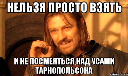 нельзя просто взять и не посмеяться над усами тарнопольсона, Мем Нельзя просто так взять и (Боромир мем)