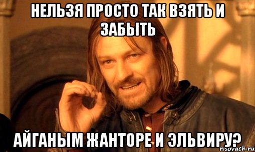 нельзя просто так взять и забыть айганым жанторе и эльвиру?, Мем Нельзя просто так взять и (Боромир мем)