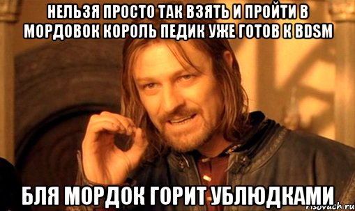 нельзя просто так взять и пройти в мордовок король педик уже готов к bdsm бля мордок горит ублюдками, Мем Нельзя просто так взять и (Боромир мем)