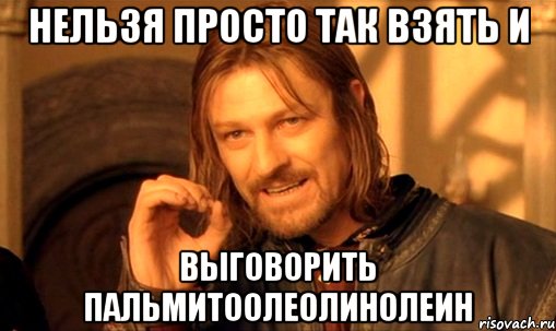 нельзя просто так взять и выговорить пальмитоолеолинолеин, Мем Нельзя просто так взять и (Боромир мем)