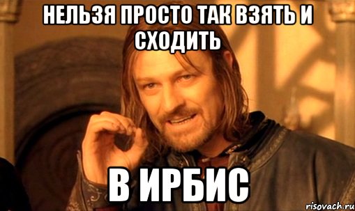 нельзя просто так взять и сходить в ирбис, Мем Нельзя просто так взять и (Боромир мем)