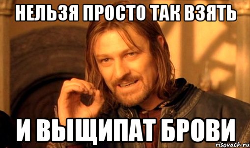 нельзя просто так взять и выщипат брови, Мем Нельзя просто так взять и (Боромир мем)