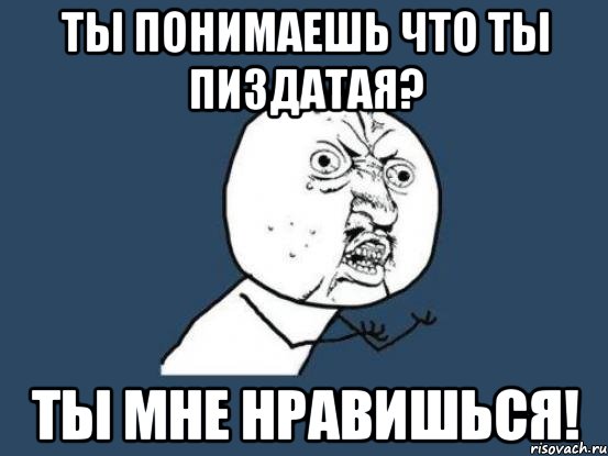 ты понимаешь что ты пиздатая? ты мне нравишься!, Мем Ну почему