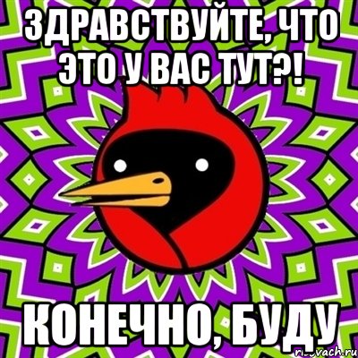 здравствуйте, что это у вас тут?! конечно, буду, Мем Омская птица