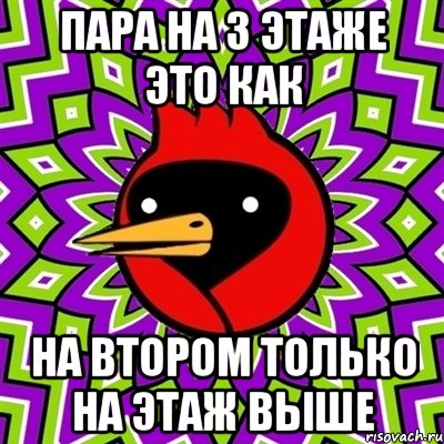 пара на 3 этаже это как на втором только на этаж выше, Мем Омская птица