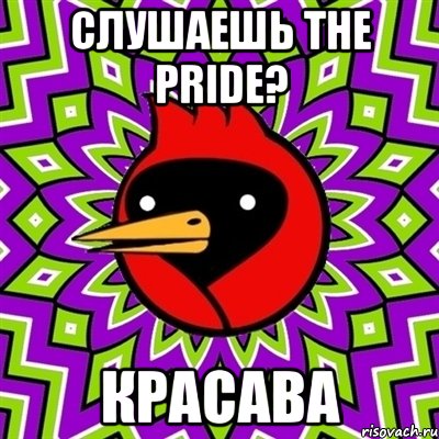 слушаешь the pride? красава, Мем Омская птица