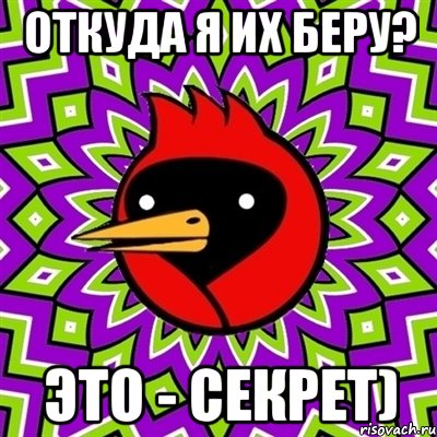 откуда я их беру? это - секрет), Мем Омская птица