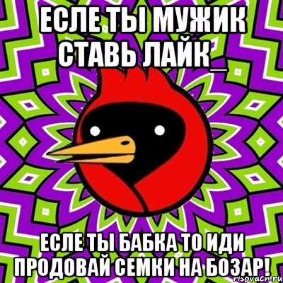 есле ты мужик ставь лайк_ есле ты бабка то иди продовай семки на бозар!, Мем Омская птица