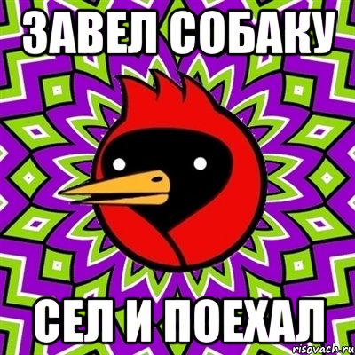 завел собаку сел и поехал, Мем Омская птица