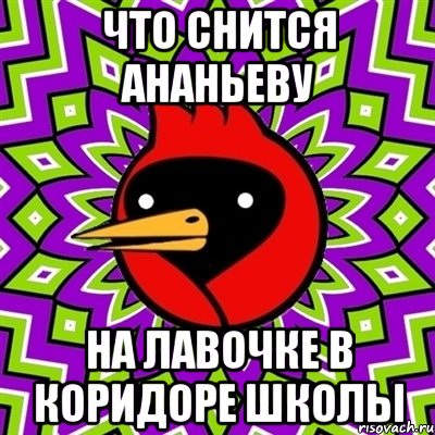 что снится ананьеву на лавочке в коридоре школы, Мем Омская птица