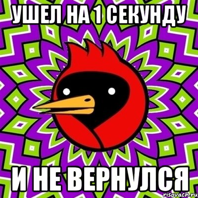 ушел на 1 секунду и не вернулся, Мем Омская птица