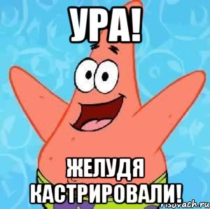 ура! желудя кастрировали!