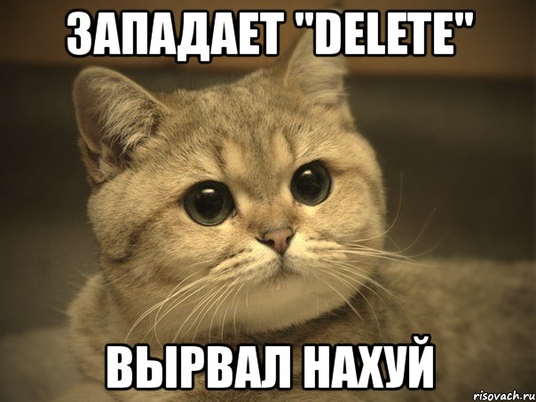 западает "delete" вырвал нахуй, Мем Пидрила ебаная котик