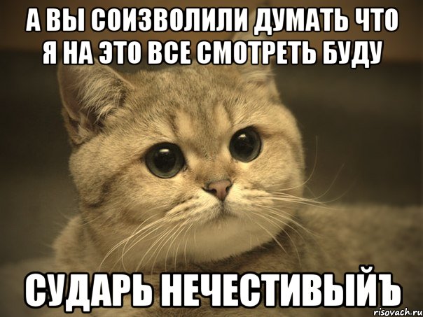 а вы соизволили думать что я на это все смотреть буду сударь нечестивыйъ