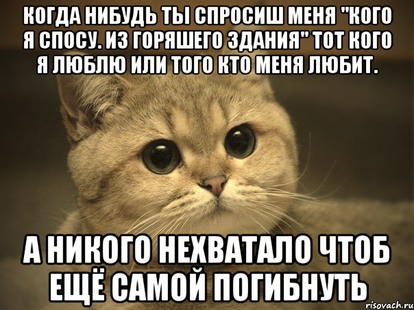 когда нибудь ты спросиш меня "кого я спосу. из горяшего здания" тот кого я люблю или того кто меня любит. а никого нехватало чтоб ещё самой погибнуть