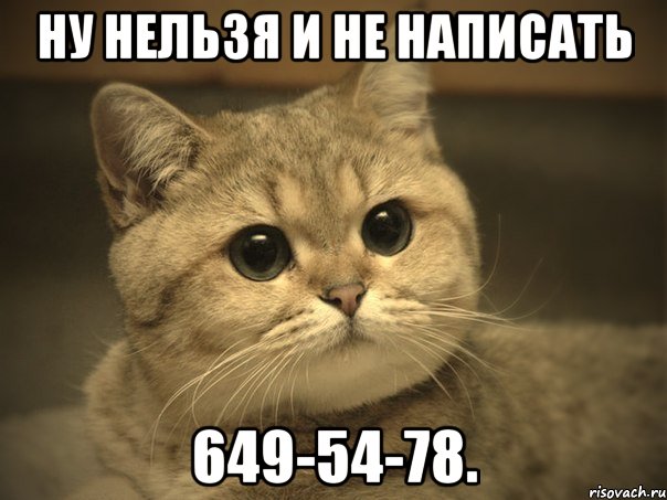 ну нeльзя и нe нaписaть 649-54-78.