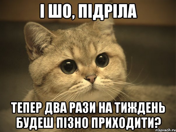 і шо, підріла тепер два рази на тиждень будеш пізно приходити?