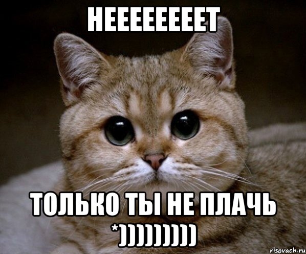 неееееееет только ты не плачь *)))))))))