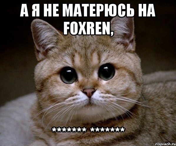 а я не матерюсь на foxren, ******* *******, Мем Пидрила Ебаная