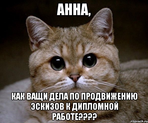 анна, как ващи дела по продвижению эскизов к дипломной работе???, Мем Пидрила Ебаная