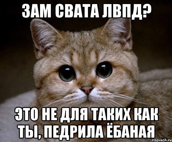 зам свата лвпд? это не для таких как ты, педрила ёбаная, Мем Пидрила Ебаная