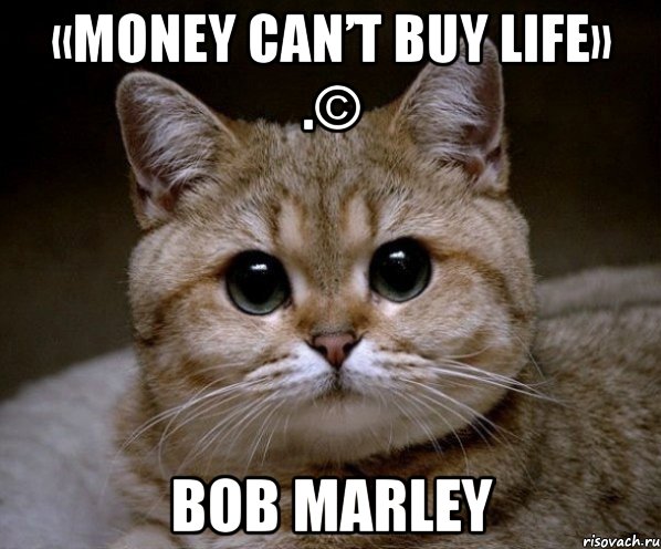 «money can’t buy life» .© bob marley, Мем Пидрила Ебаная