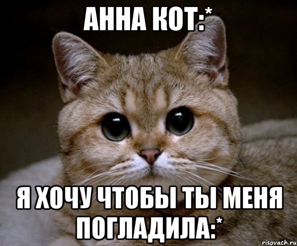 анна кот:* я хочу чтобы ты меня погладила:*, Мем Пидрила Ебаная