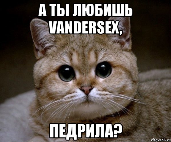 а ты любишь vandersex, педрила?, Мем Пидрила Ебаная