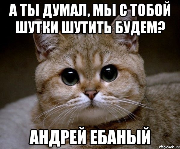 а ты думал, мы с тобой шутки шутить будем? андрей ебаный, Мем Пидрила Ебаная