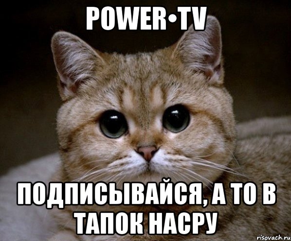 power•tv подписывайся, а то в тапок насру, Мем Пидрила Ебаная