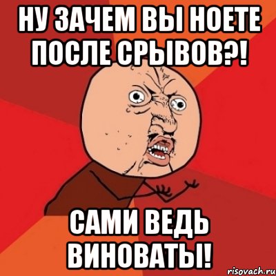 ну зачем вы ноете после срывов?! сами ведь виноваты!, Мем Почему