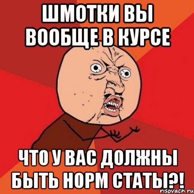 шмотки вы вообще в курсе что у вас должны быть норм статы?!, Мем Почему