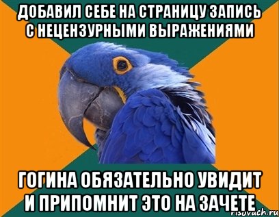 добавил себе на страницу запись с нецензурными выражениями гогина обязательно увидит и припомнит это на зачете, Мем Попугай параноик