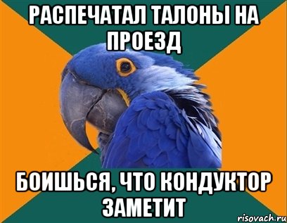 распечатал талоны на проезд боишься, что кондуктор заметит, Мем Попугай параноик