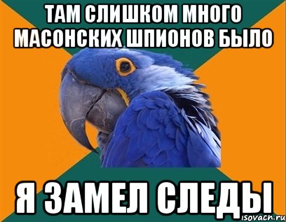 там слишком много масонских шпионов было я замел следы, Мем Попугай параноик