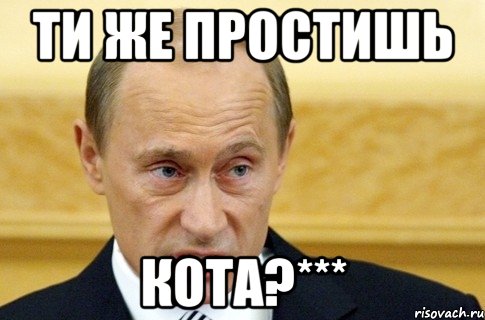 ти же простишь кота?***, Мем путин