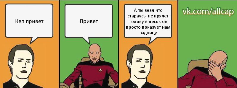 Кеп привет Привет А ты знал что стараусы не прячет голову в песок он просто показует нам задницу, Комикс с Кепом