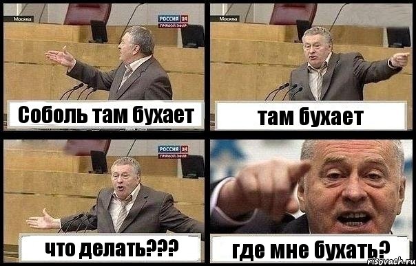 Соболь там бухает там бухает что делать??? где мне бухать?, Комикс с Жириновским