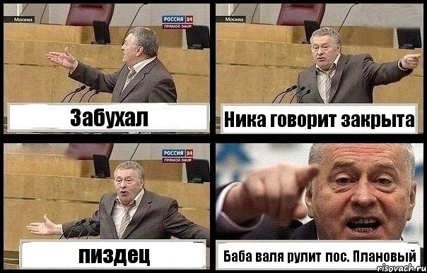 Забухал Ника говорит закрыта пиздец Баба валя рулит пос. Плановый, Комикс с Жириновским