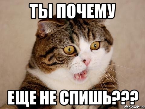 ты почему еще не спишь???