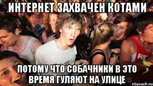 интернет захвачен котами потому что собачники в это время гуляют на улице, Мем   озарение